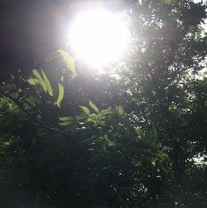 Meet your Posher, I.c.